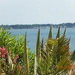 Maison *